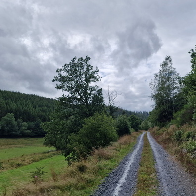 Track near Fauvillers