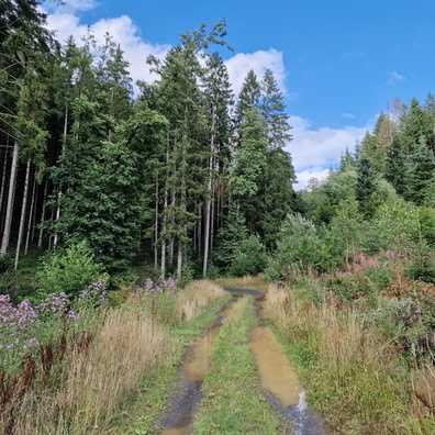 20230801_172451.jpg