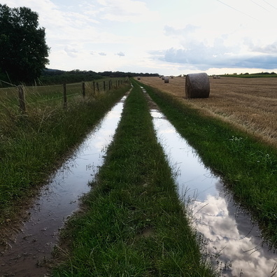 Wet track