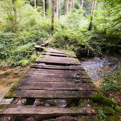 Is it safe to cross this bridge?