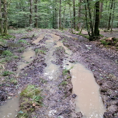 Dirt track near Michelbouch