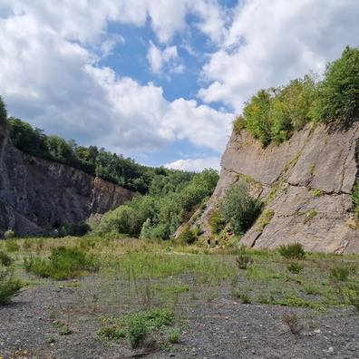 Hampteau former quarry site