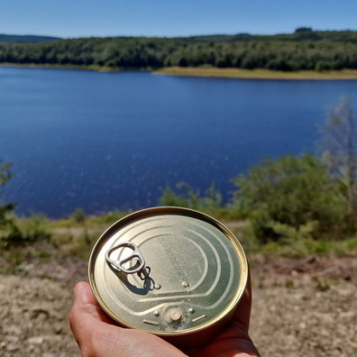 20230810_123251.jpg