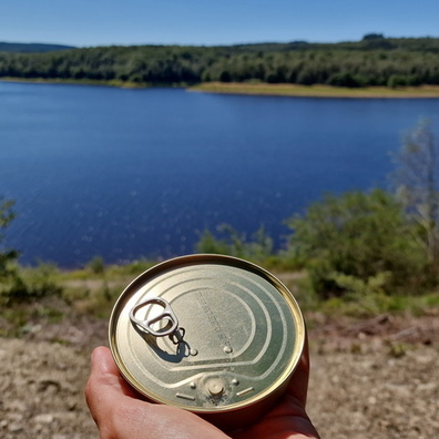 Failed lunch at the lake