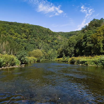 Sauer river in Tadler