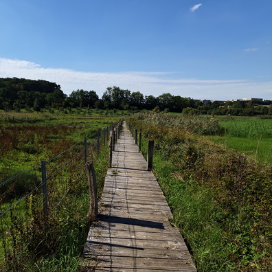 Nature Trail Schlammwiss, Mensdorf