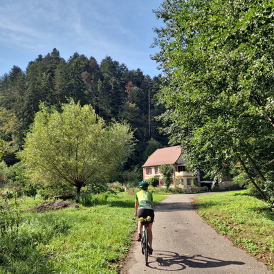 Route Forestière du Rehbach