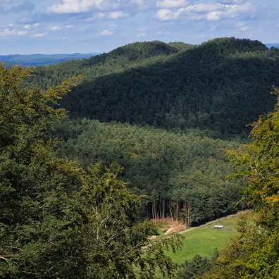 20230826_161647.jpg