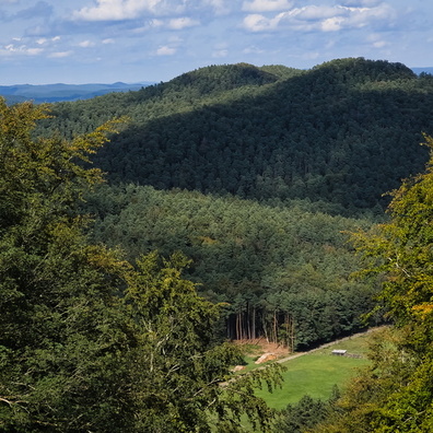 Vosges du Nord