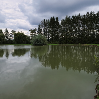 Dehlingen fishing pond