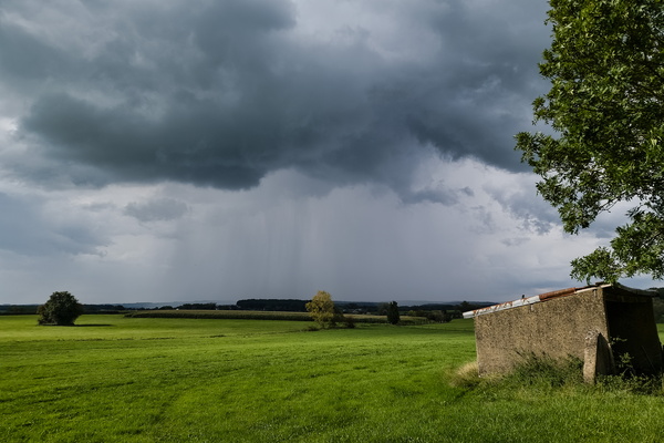 Rain shower