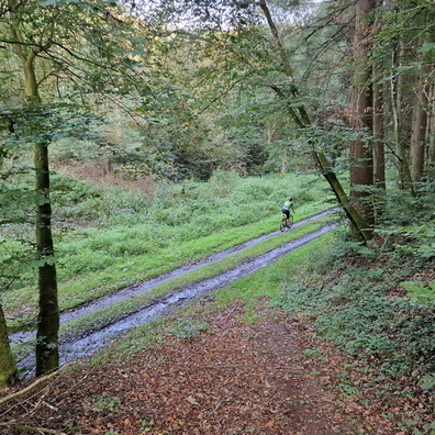 Track near Stolzembourg