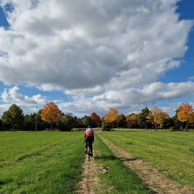 Fields in Bertrange