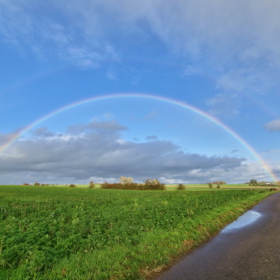 Rainbow