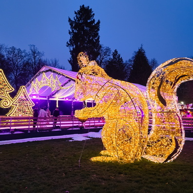 Winterlights in the park