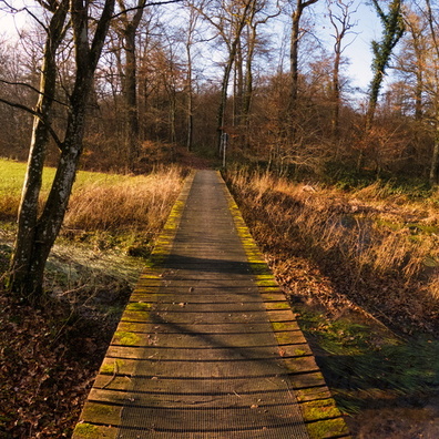 Bridge in the sun