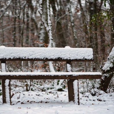 Snow covered bench