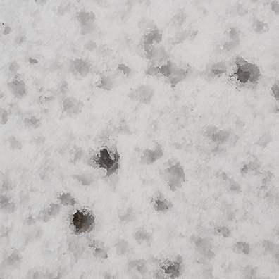20231204_155155.jpg