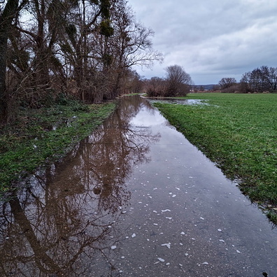 Flooded Mosel-Radweg