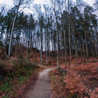 20231228_165349.jpg