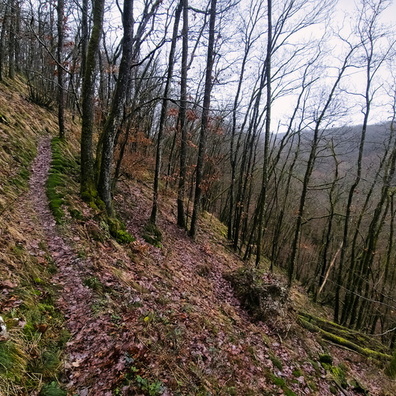 Path near Bavigne