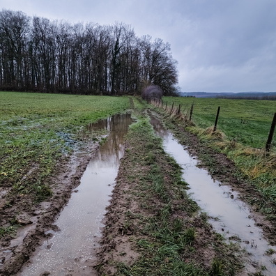 Dirty track near Bissen