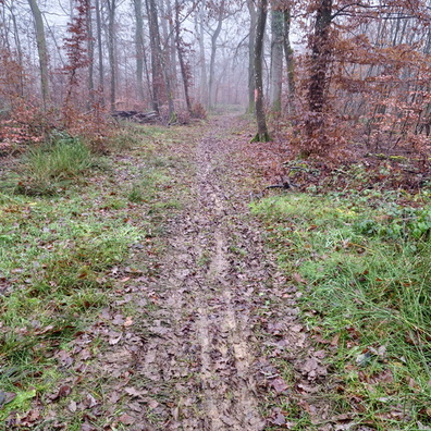 Muddy and slippery path near Sandweiler