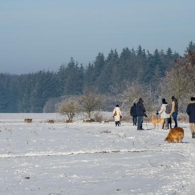 People enjoying the snow