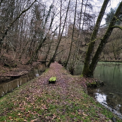 Pond in Meysembourg