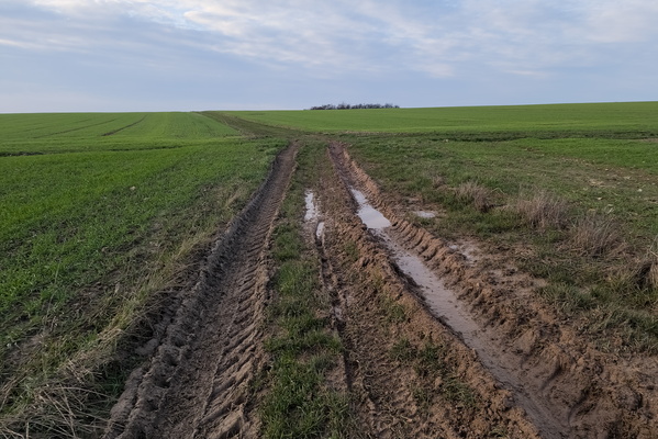 Muddy track near Contz-les-Bains