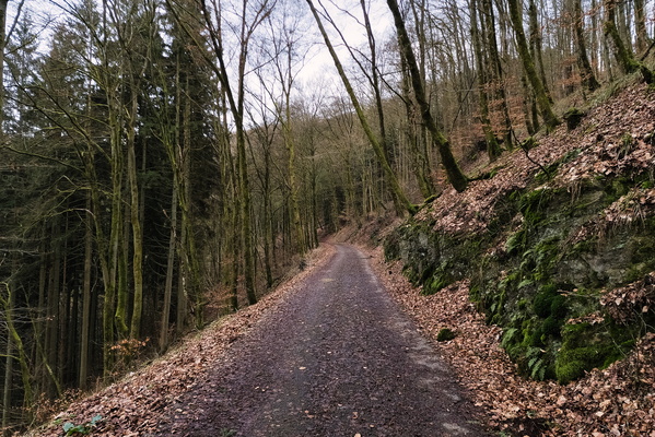 Track near Insenborn