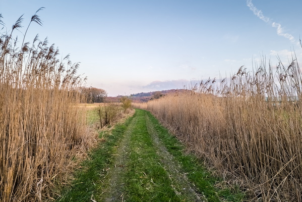 Path near Niederanven