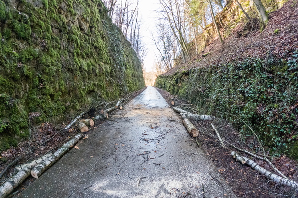 Cycleway cleared a few hours after the storm