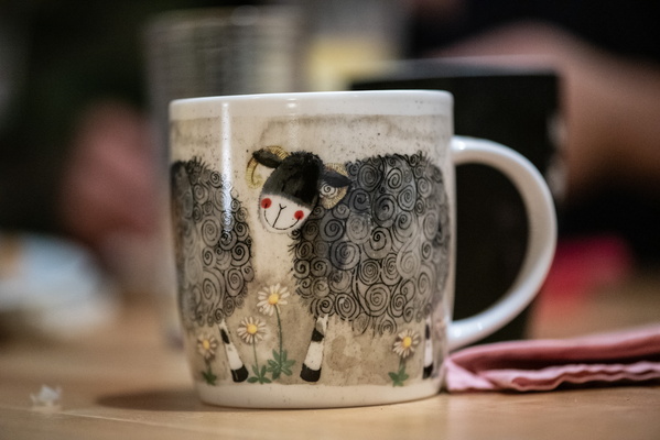 Sheep cup