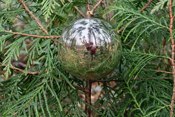 Christmas ball