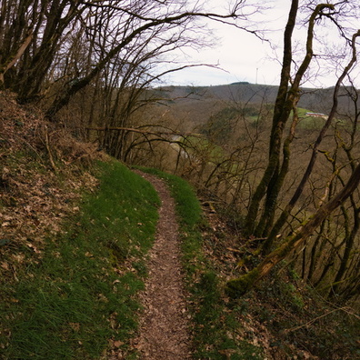 20240309_141030.jpg