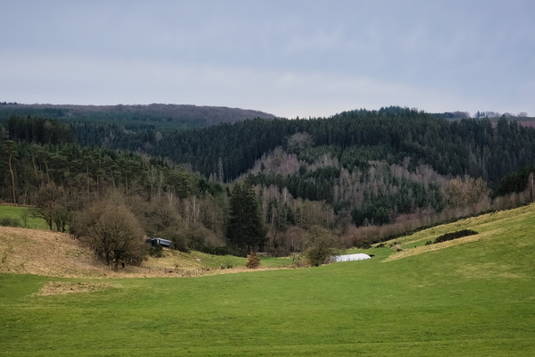 Above the Ourthe orientale valley