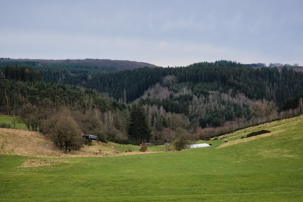 Above the Ourthe orientale valley