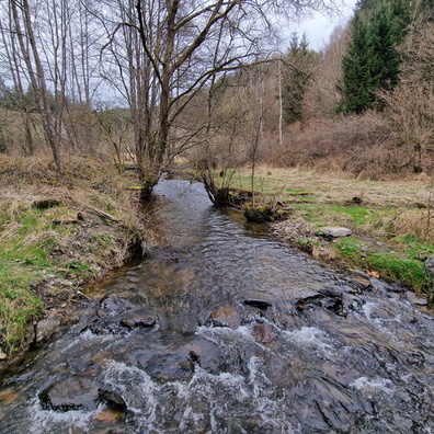 20240310_150224.jpg