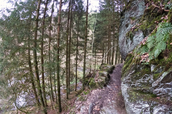 Pretty forest trail near Achouffe