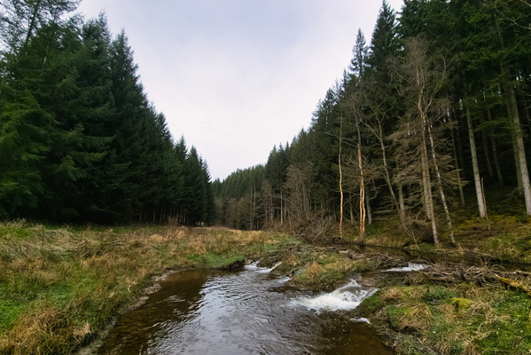 Ruisseau de Belle Meuse