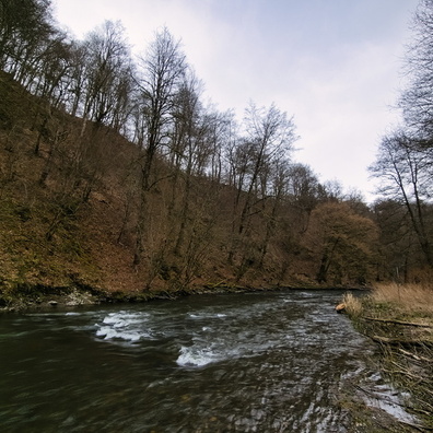 20240310_152821.jpg