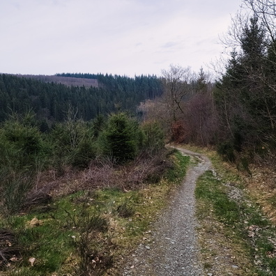 20240310_155800.jpg