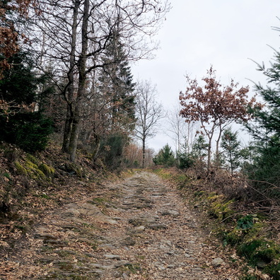 20240310_155907.jpg