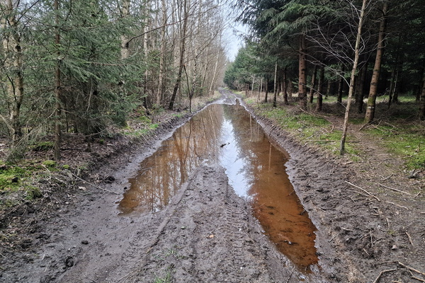 Puddle on a track near Étang de Fâzône