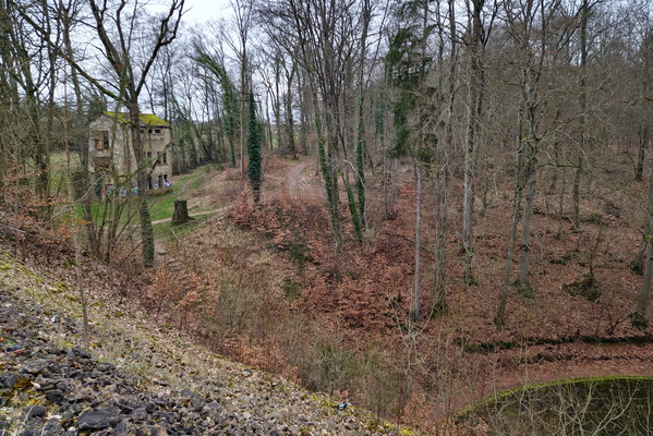 Ruin in Jongebësch