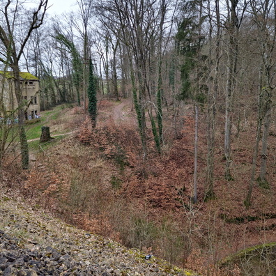 Ruin in Jongebësch