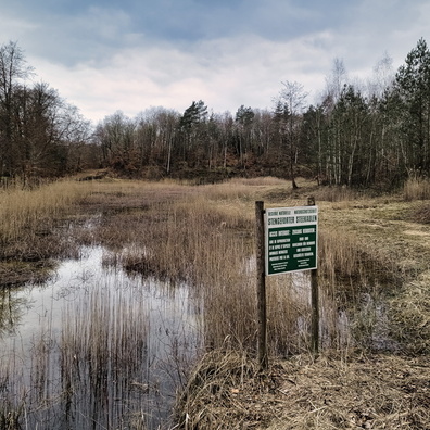 Nature reserve near Steinfort