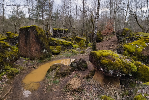 Fun trail in Haard nature reserve