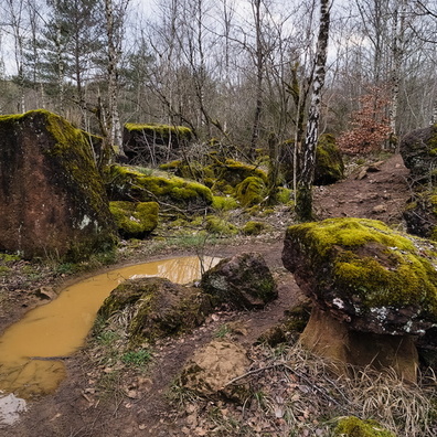 Fun trail in Haard nature reserve